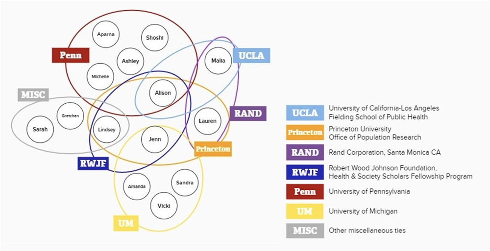 Illustration of the overlapping institutions of the team members