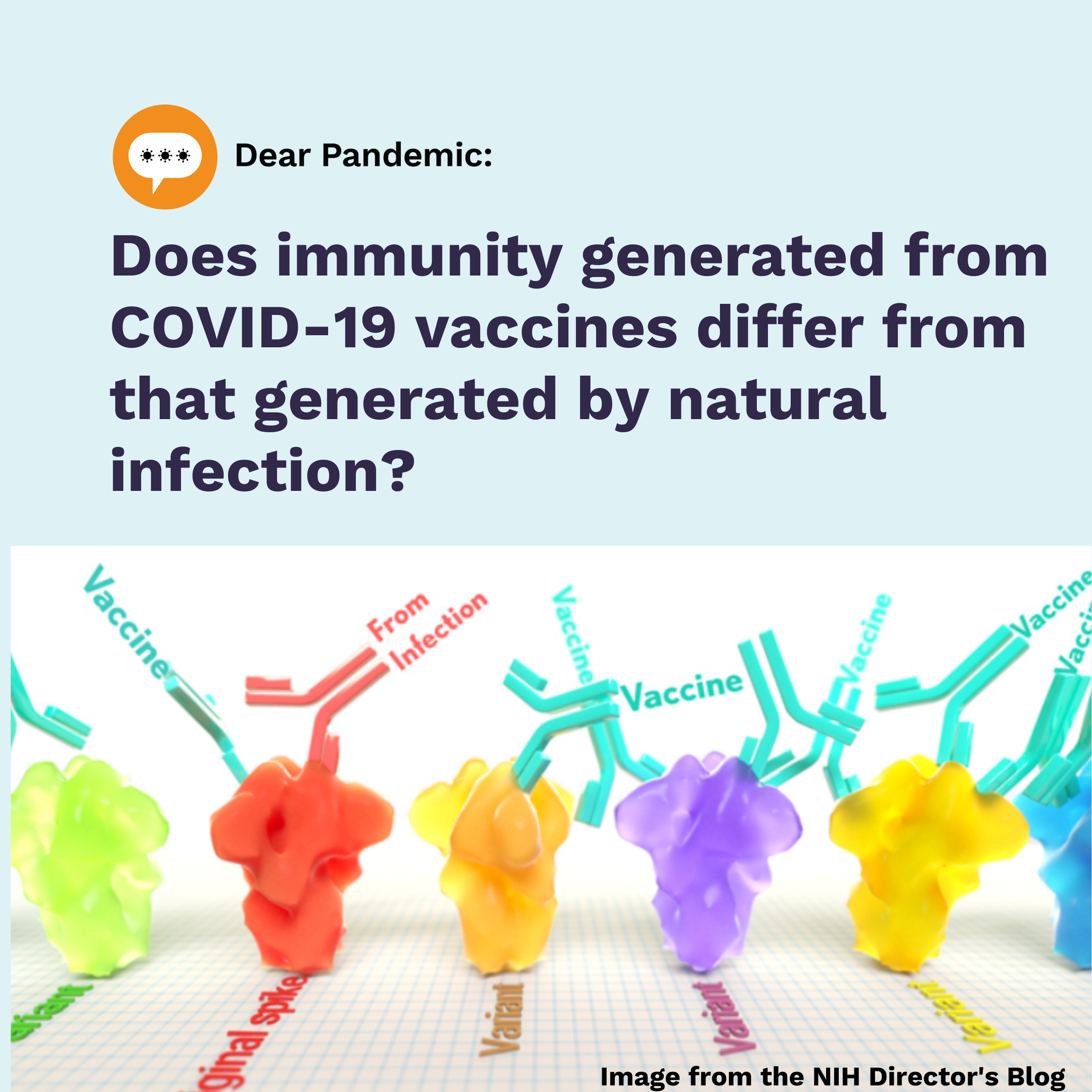 how-does-natural-immunity-to-sars-cov-2-infection-differ-from-immunity-generated-by-covid-19